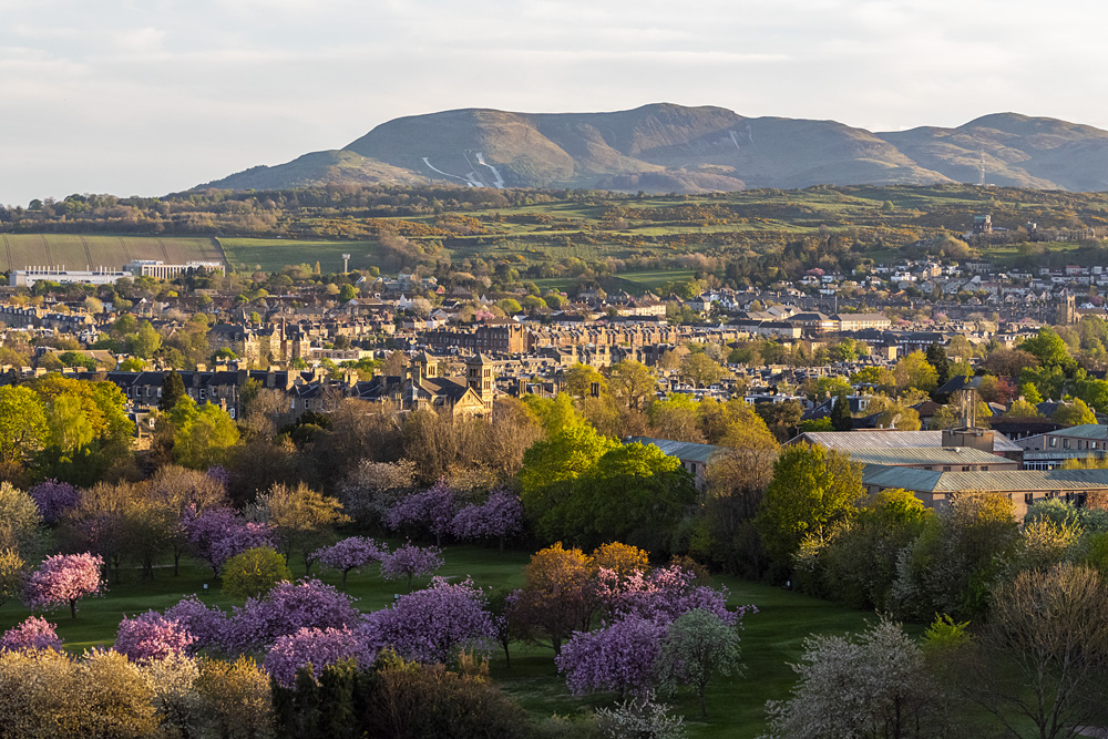 Jamie McDermaid - Edinburgh in Bloom