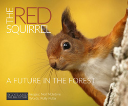 The Red 
		Squirrel – A Future in the Forest