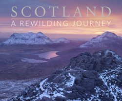 Scotland: A Rewilding Journey