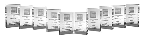 glass awards